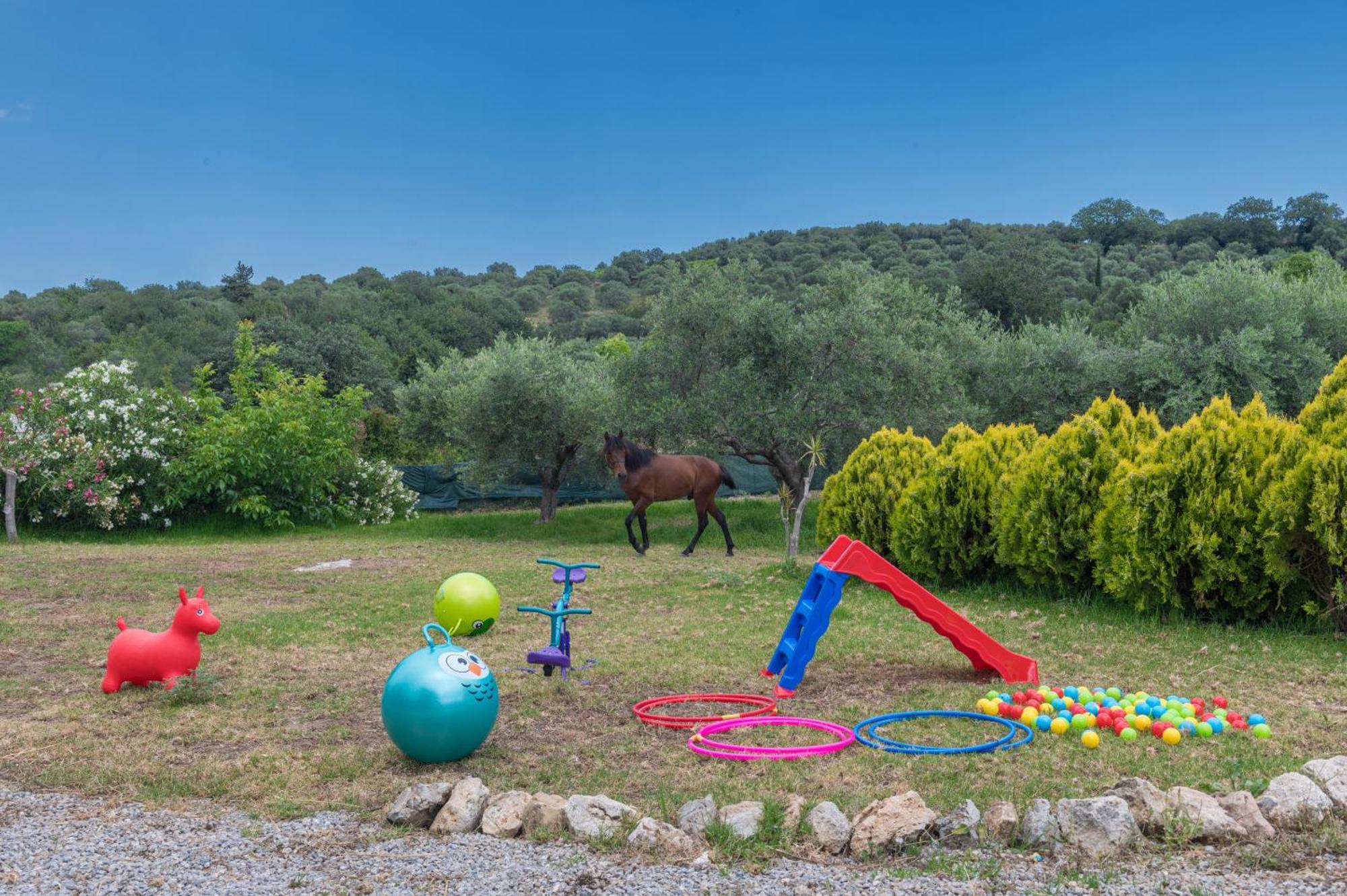 Elarchon Villa Private Pool Episkopi  Екстер'єр фото
